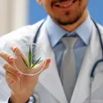 Cannabis legale, a chi è consigliabile affidarsi?